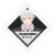 Yashiro Nekoda