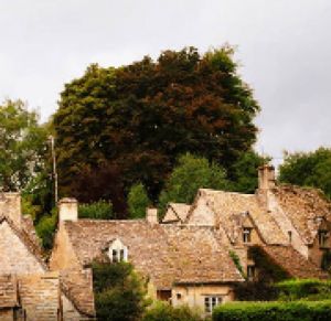 A pixelated stock photo of a small town in a forest.