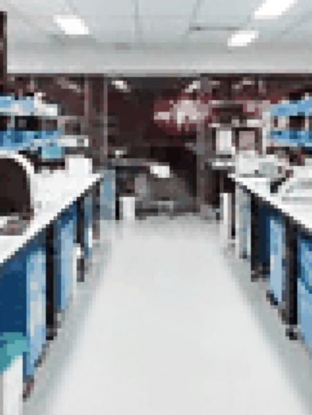File:Remora's Lab SL.jpg