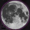 What moon.jpeg